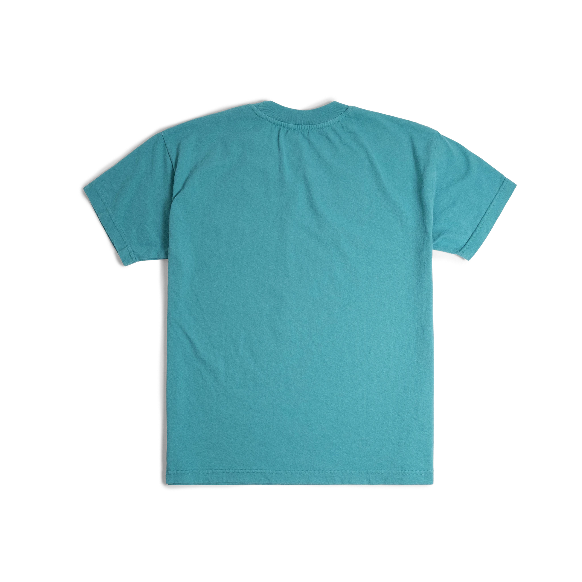 Back image of Topo Designs x Soft Goods Label Tee in "Alpine Teal"