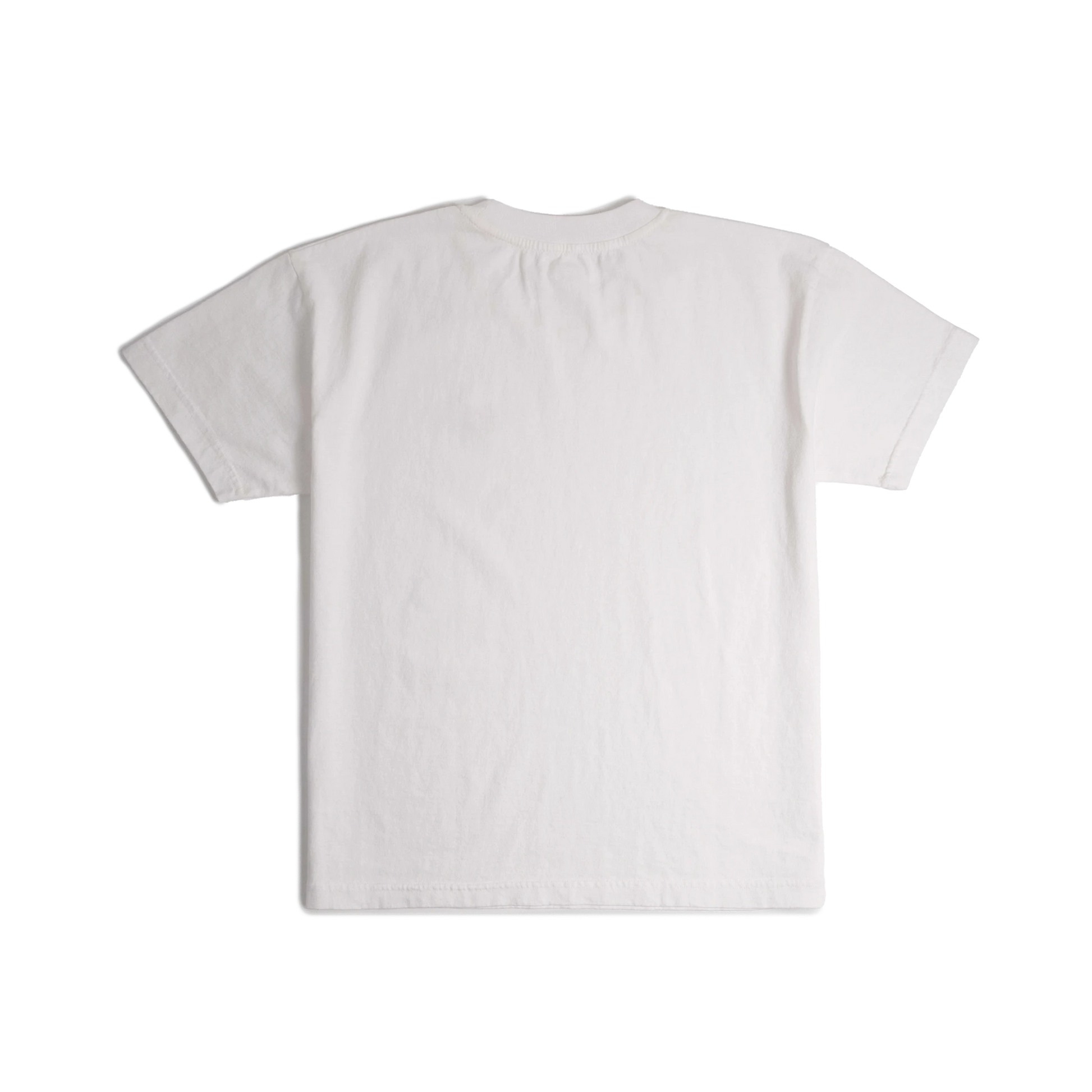 Back image of Topo Designs x Soft Goods Label Tee in "White"